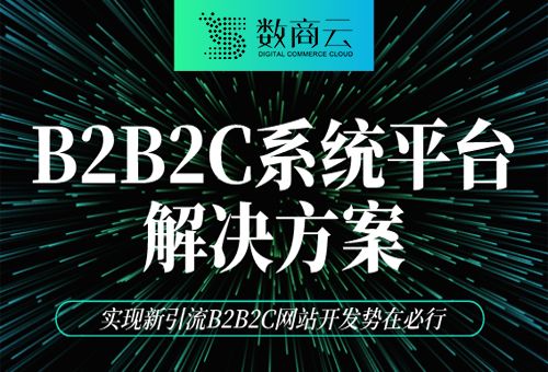 b2b2c系统平台解决方案:实现新引流b2b2c网站开发势在必行